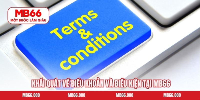 Khái quát về điều khoản và điều kiện tại MB66