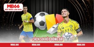 Cách Soi Kèo Bóng Đá