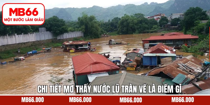 Giải mã mơ thấy nước lũ tràn về là điềm gì chi tiết A - Z