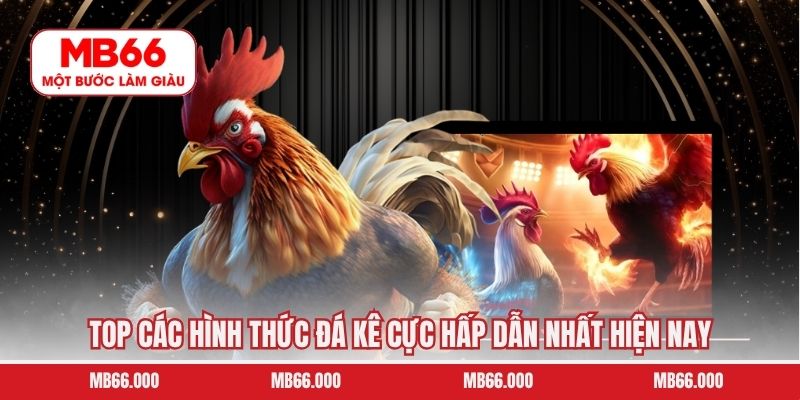 Top các hình thức đá kê cực hấp dẫn nhất hiện nay 