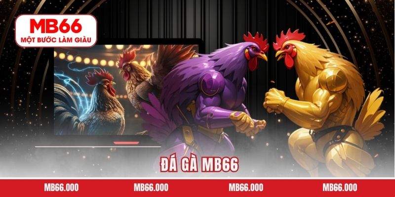 Đá Gà MB66 – Sân Chơi Cá Cược Kịch Tính Hàng Đầu Hấp Dẫn