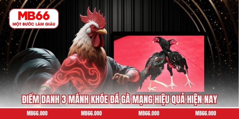 Điểm danh 3 mánh khóe đá gà mạng hiệu quả hiện nay 