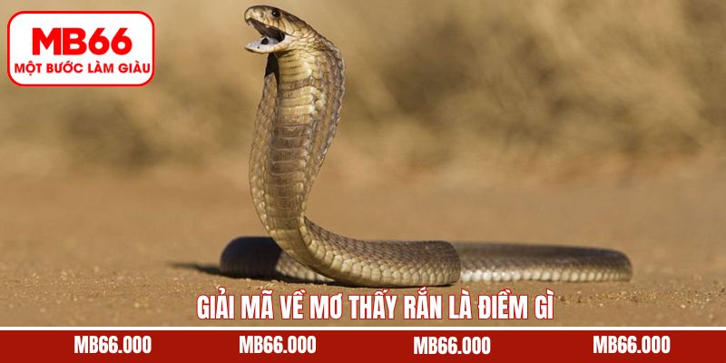 Mơ Thấy Tiền 500 Điềm Báo Tốt Hay Xấu - Cùng Mb66 Giải Mã 9 Giải mã khi mơ thấy rắn là điềm gì đánh con gì