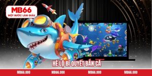 Hé Lộ Bí Quyết Bắn Cá