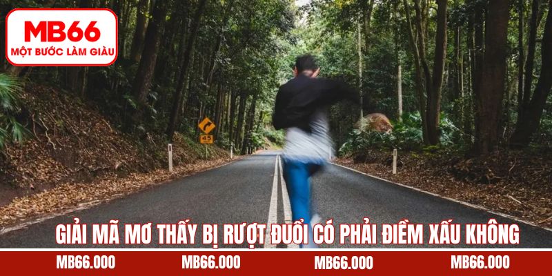 Giải Mã Mơ Thấy Bị Rượt Đuổi Có Phải Điềm Xấu Không Từ MB66 7 Giải Mã Mơ Thấy Bị Rượt Đuổi Có Phải Điềm Xấu Không Từ MB66