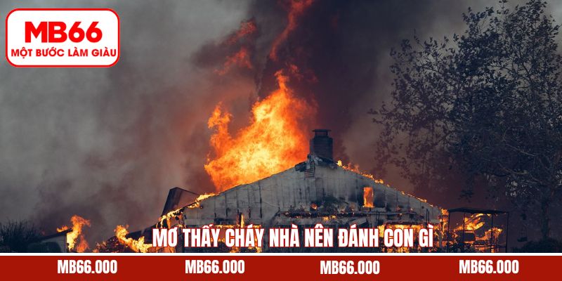 Giải mã con số may mắn liên quan đến mơ thấy cháy nhà