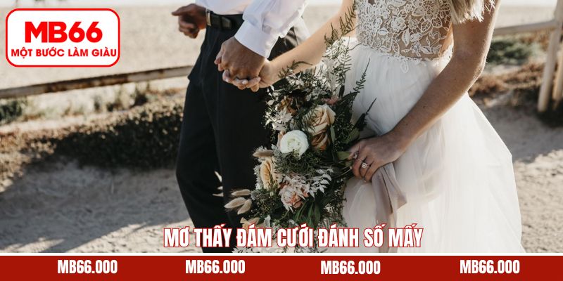 Mơ Thấy Đám Cưới Đánh Số Mấy - Giải Mã Ý Nghĩa Cùng MB66 7 Mơ Thấy Đám Cưới Đánh Số Mấy - Giải Mã Ý Nghĩa Cùng MB66