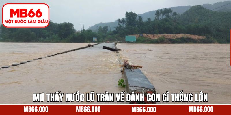 Con số may mắn gắn liền với giấc mơ thấy nước lũ tràn về