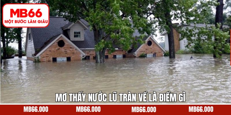 Mơ Thấy Nước Lũ Tràn Về Là Điềm Gì? Giải Mã Con Số May Mắn