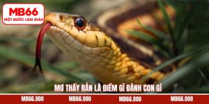 Mơ Thấy Rắn Là Điềm Gì Đánh Con Gì - Giải Mã Chi Tiết MB66
