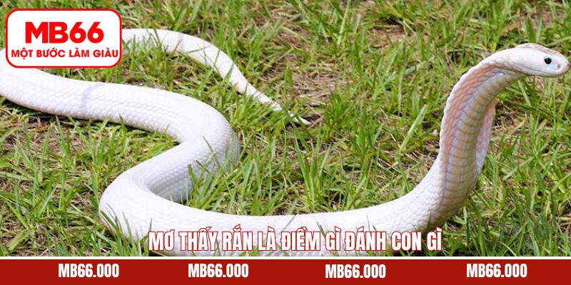 Mơ Thấy Tiền 500 Điềm Báo Tốt Hay Xấu - Cùng Mb66 Giải Mã 10 Top các con số nên đánh khi mộng thấy rắn