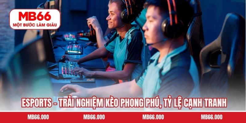 eSports – Trải nghiệm kèo phong phú, tỷ lệ cạnh tranh